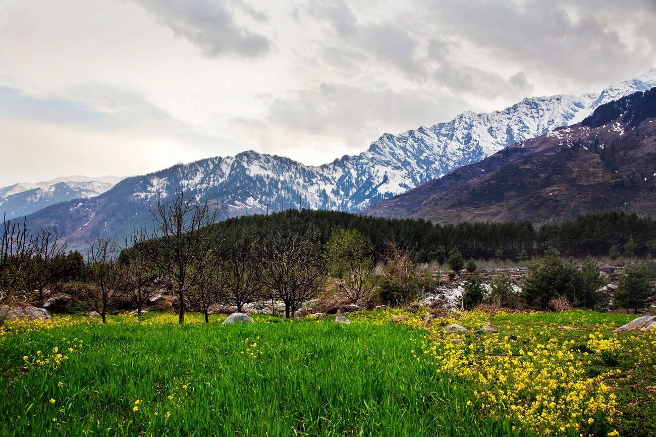 Top 10 Must-Visit Attractions in Manali: A Comprehensive Guide 